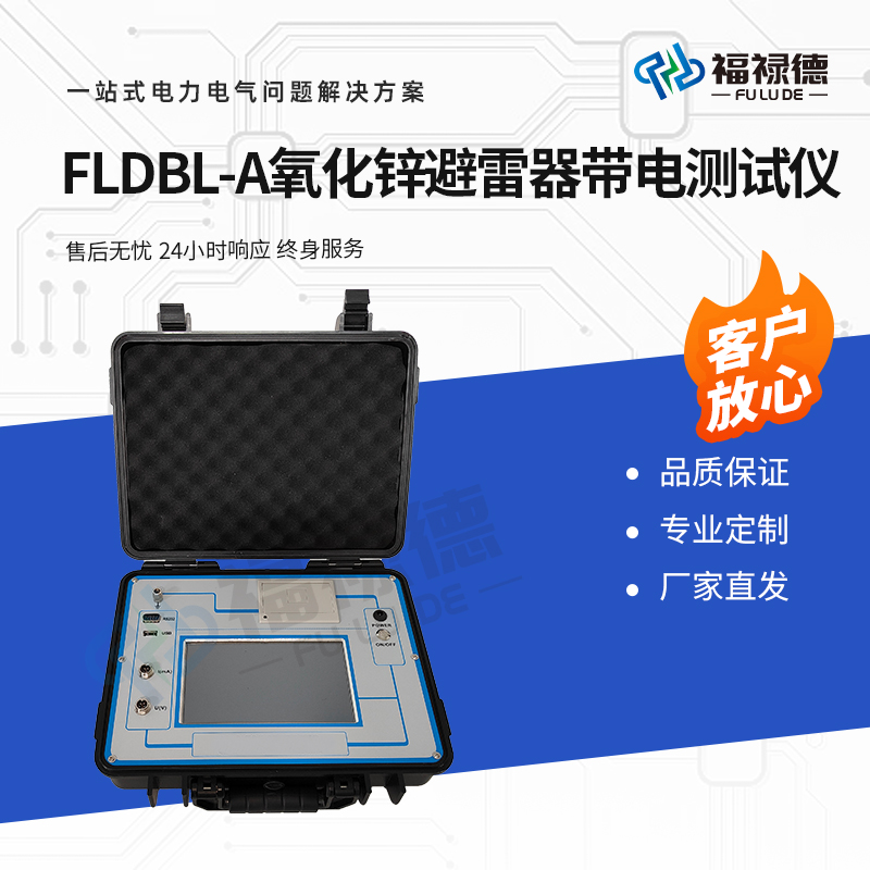 福禄德 FLDBL-A 氧化锌避雷器带电测试仪 交直流两用 便携式测量 稳定