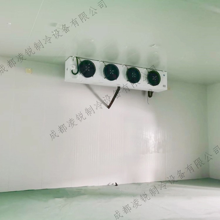 成都水果蔬菜保鲜库 大型食品保鲜冷藏库制冷设备