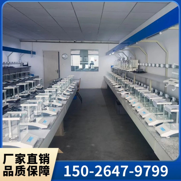 万分之一电子分析天平FN-N系列