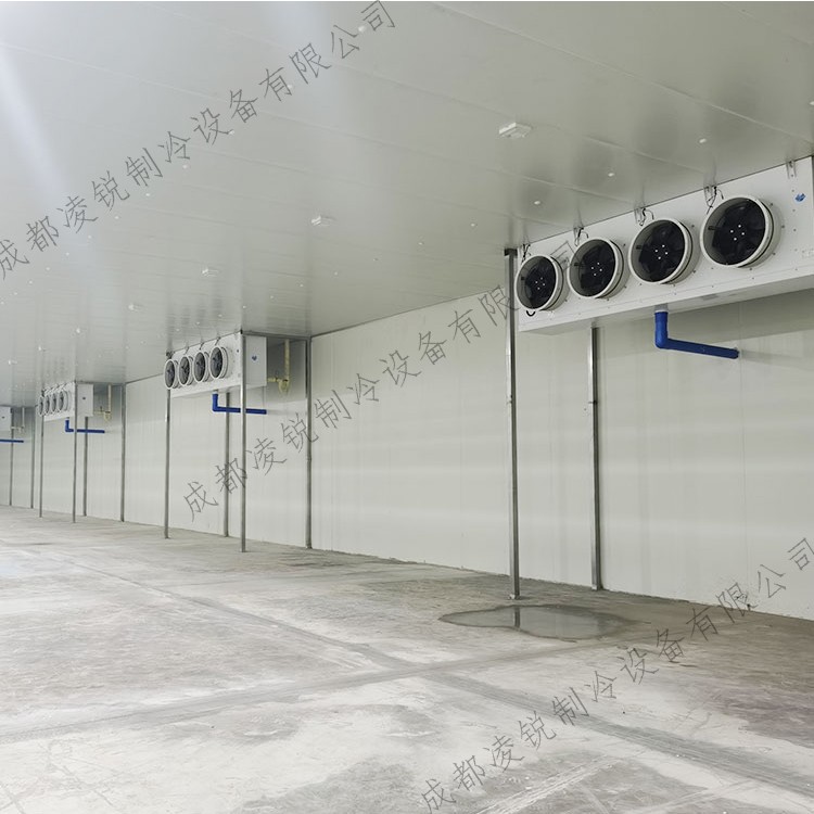 成都冷冻库 一体化设计 防爆冷库支持定制 上门测量安装