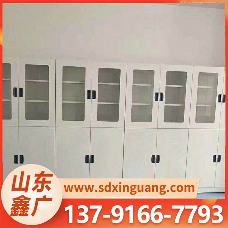 全钢药品柜 铝木样品暂存试剂柜 坚固耐用