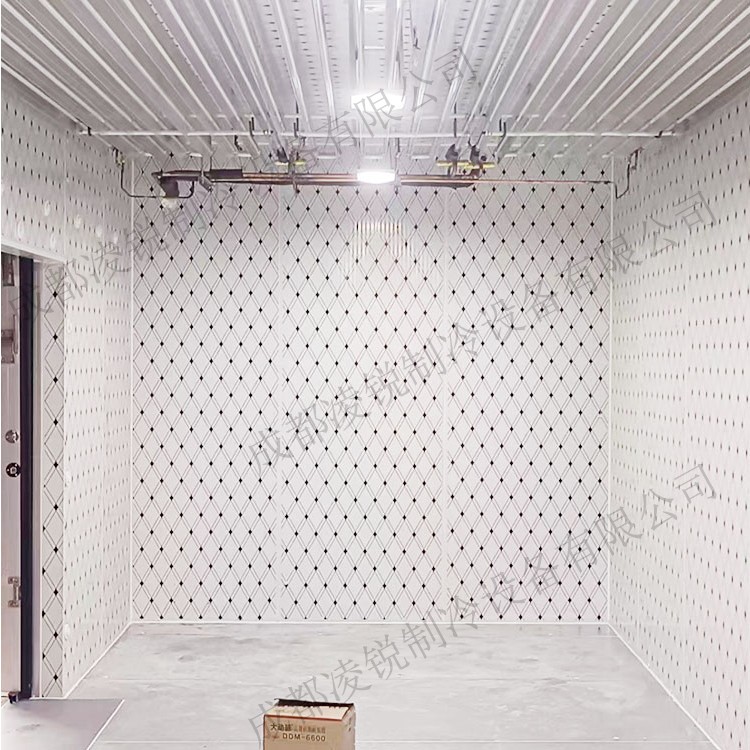 四川水果蔬菜鲜花冷藏保鲜库 低温冻品肉类冷冻库 丸子速冻冷库设计