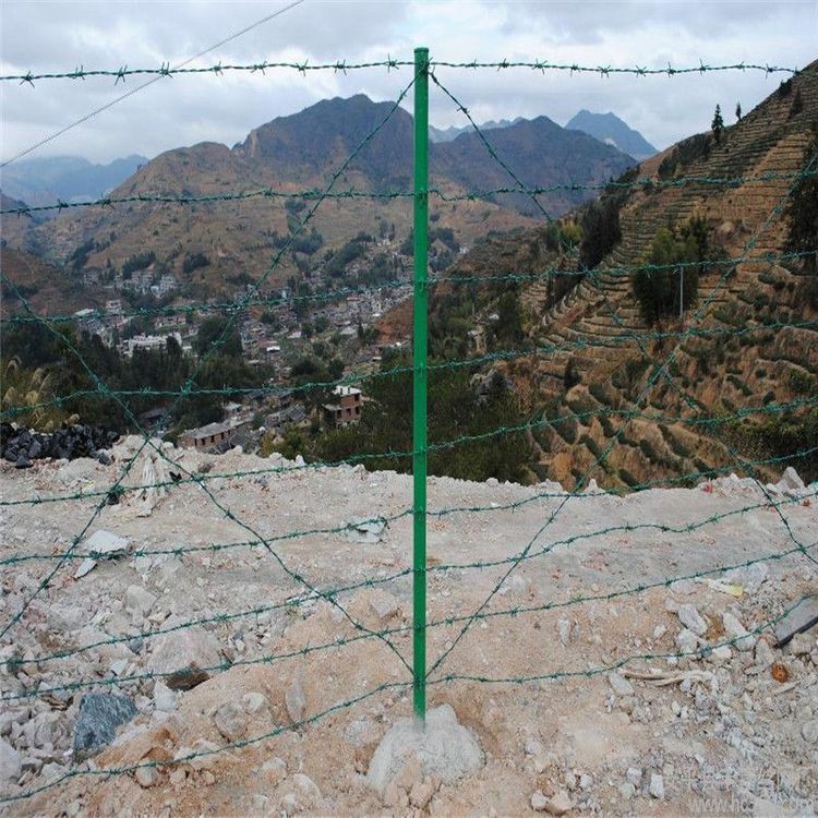 牧场铁蒺藜护栏网 公路铁路刺丝围栏网 果园矮墙刺绳护栏网