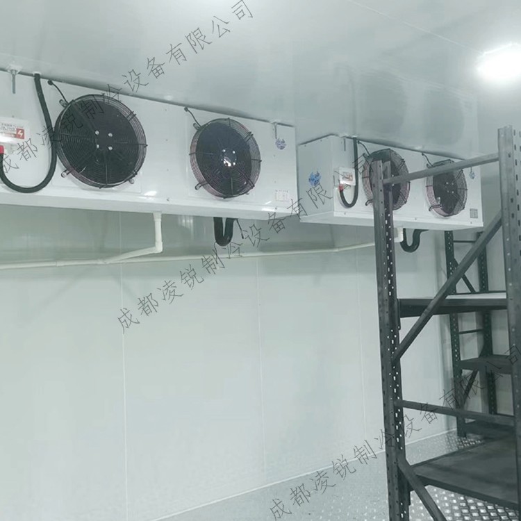 凌锐食品水果蔬菜肉类海鲜奶制品冷链物流冷库 冷冻库安装