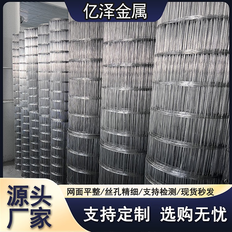 不锈钢焊接网 碰焊网 304 316 321材质 方孔防护网金属围网 不锈钢碰焊网 隔离网 网孔精细 亿泽直营