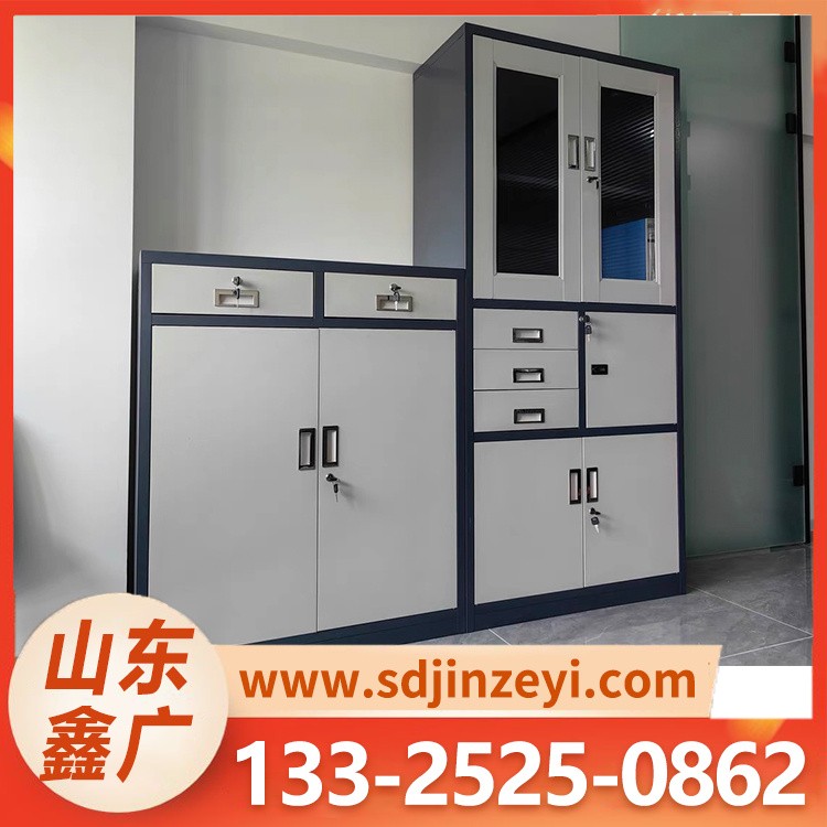 资料柜 商业办公家具 钢制档案柜 按需定做