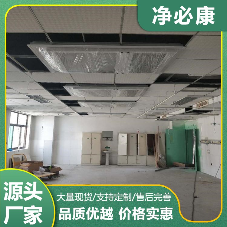 洁净屏厂家直供 高效空气净化 医疗 / 实验室专用设备