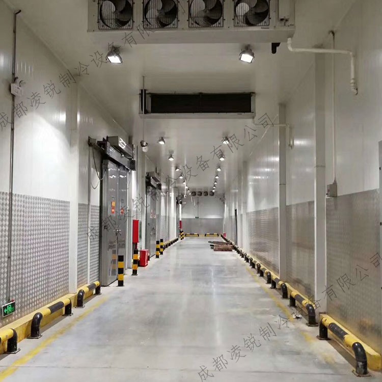 大中小型速冻库 各种规格库定做 集装箱冻库 移动保鲜库